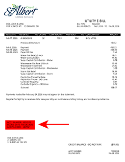 Sample Utility Account Bill